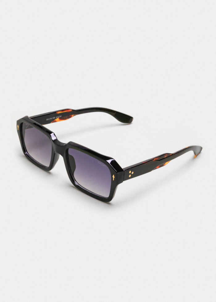 "Leon" Black Tortoise - Image 3
