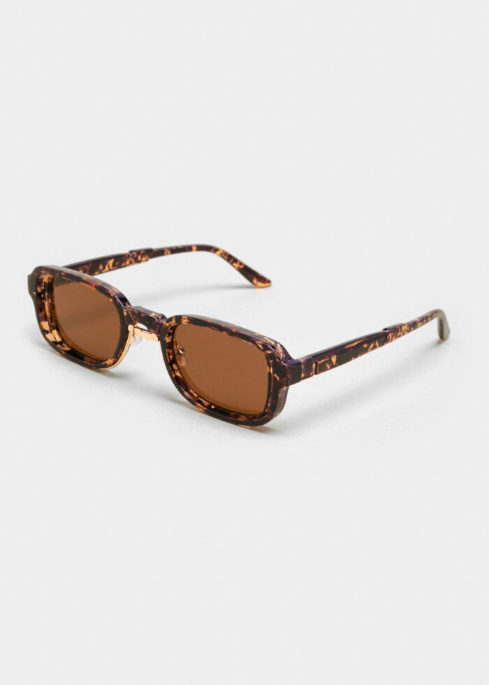 "Solaris" Tortoise - Image 2