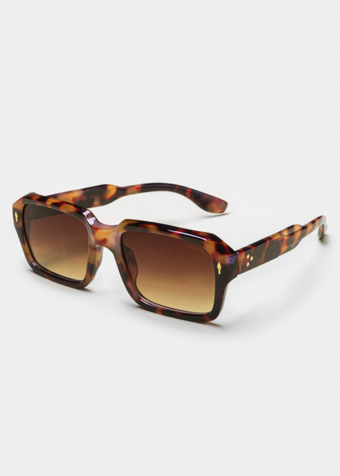 "Leon" Tortoise - Image 2